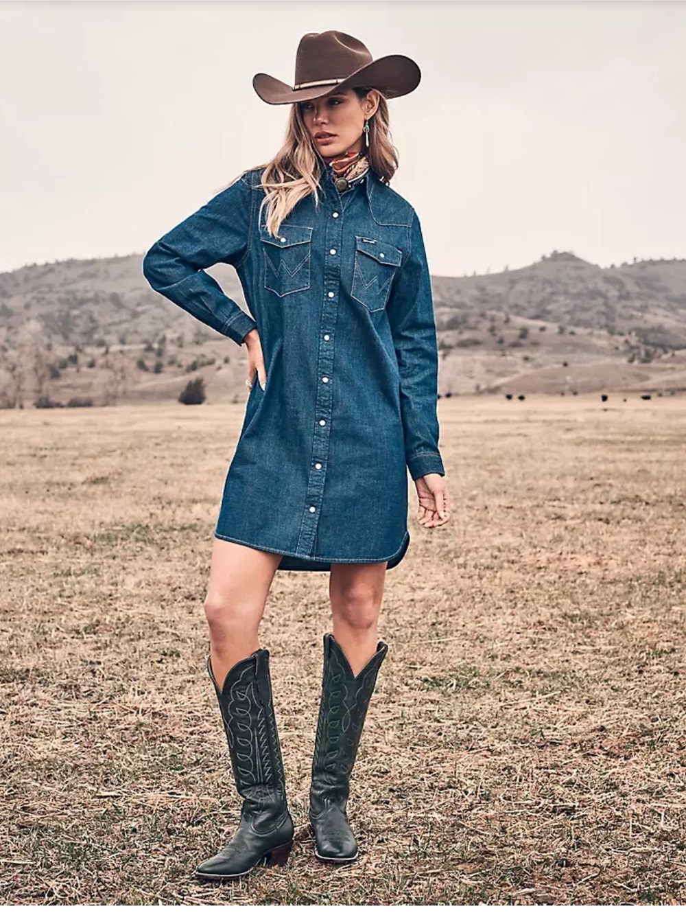 Reba WOMEN'S WESTERN SNAP DENIM DRESS
